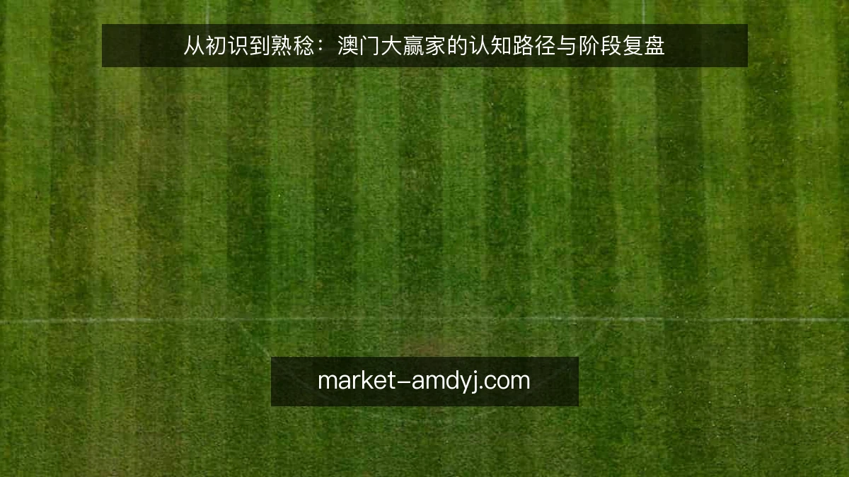 从初识到熟稔：澳门大赢家的认知路径与阶段复盘