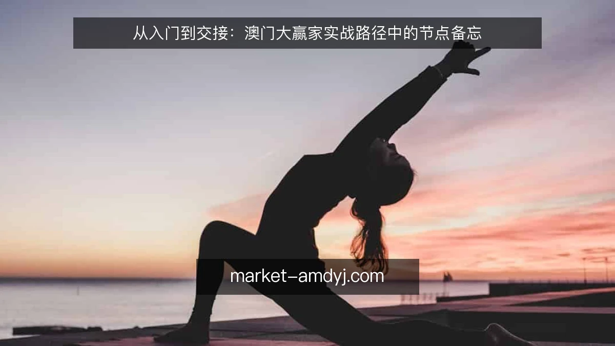 从入门到交接：澳门大赢家实战路径中的节点备忘