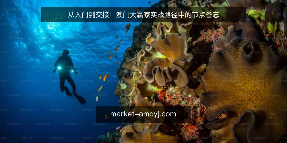 从入门到交接：澳门大赢家实战路径中的节点备忘 — 信号识别：入场前的观察窗口 配图