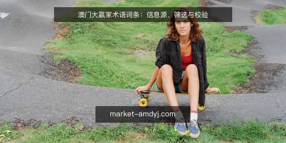 澳门大赢家术语词条:信息源、筛选与校验 — 第一步:界定术语范围 配图
