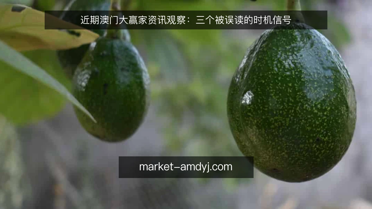 近期澳门大赢家资讯观察：三个被误读的时机信号
