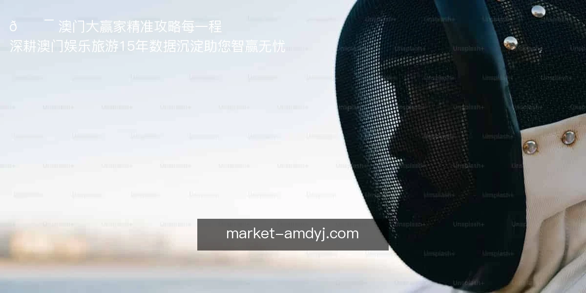 🎯 澳门大赢家,精准攻略每一程