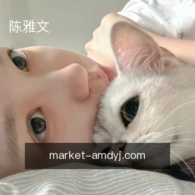 陈雅文